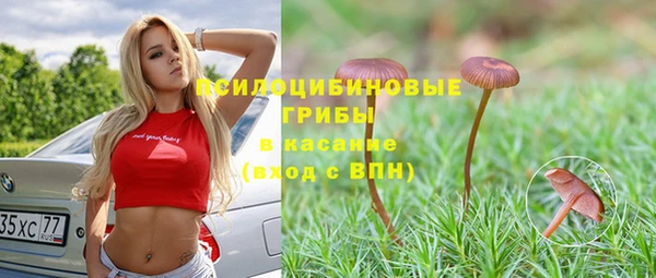 эйфоретик Верхний Тагил