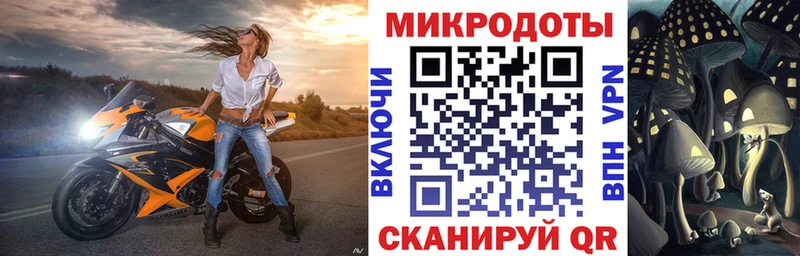 гидра tor  Новохопёрск  Галлюциногенные грибы Psilocybe 