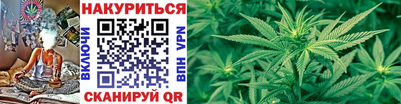 blacksprut ТОР  наркотики  Новохопёрск  Марихуана конопля 